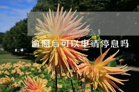 逾期后可以申请停息吗 逾期后可以申请停息吗