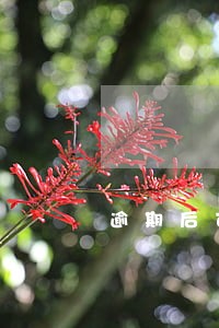 逾期后可以申请逾期还款吗 逾期后可以申请逾期还款吗