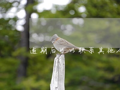 逾期后可以联系其他人 逾期后可以联系其他人