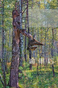 逾期后可以贷款买房么 逾期后可以贷款买房么