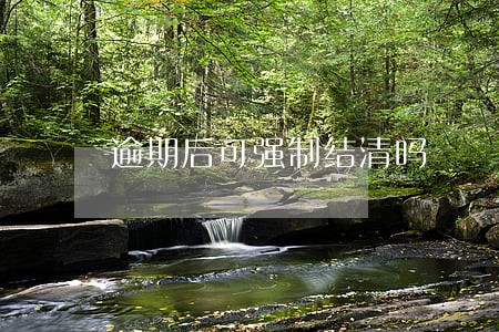 逾期后可强制结清吗 逾期后可强制结清吗