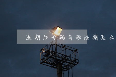 逾期后号码自动注销怎么办 逾期后号码自动注销怎么办