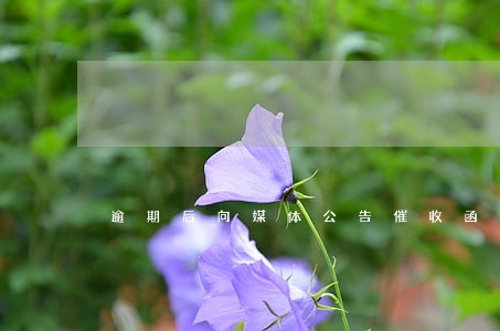 逾期后向媒体公告催收函 逾期后向媒体公告催收函