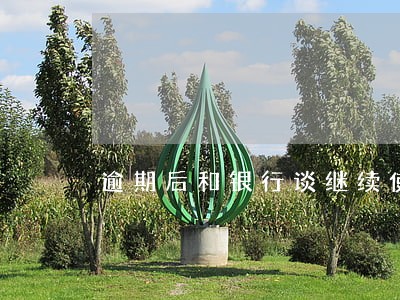 逾期后和银行谈继续使用 逾期后和银行谈继续使用