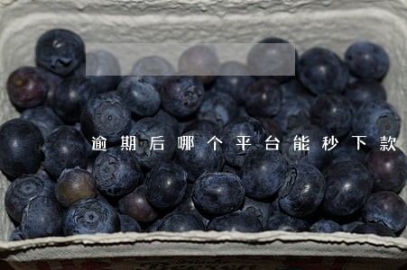 逾期后哪个平台能秒下款 逾期后哪个平台能秒下款