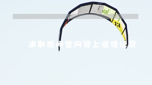 逾期后哪些网贷上征信记录 逾期后哪些网贷上征信记录