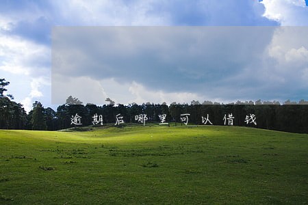 逾期后哪里可以借钱 逾期后哪里可以借钱