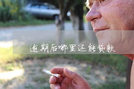 逾期后哪里还能贷款 逾期后哪里还能贷款