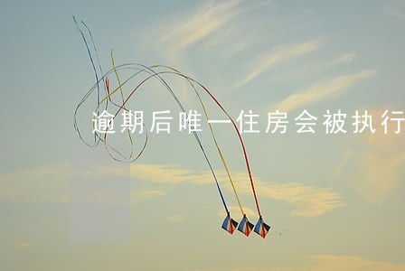 逾期后唯一住房会被执行吗 逾期后唯一住房会被执行吗