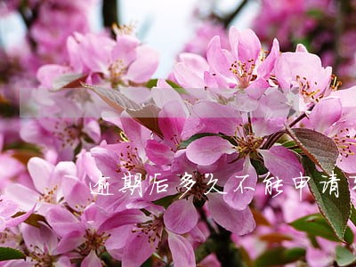 逾期后多久不能申请车贷 逾期后多久不能申请车贷