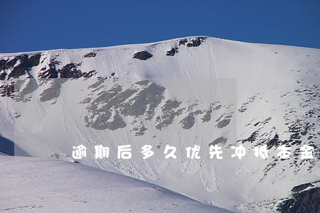 逾期后多久优先冲抵本金