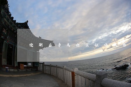 逾期后多久会上征信报告