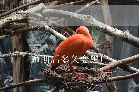 逾期后多久变黑户 逾期后多久变黑户