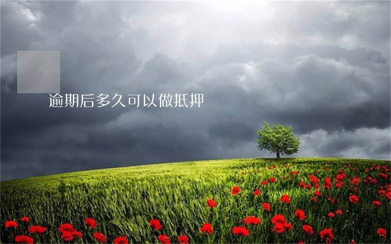 逾期后多久可以做抵押 逾期后多久可以做抵押