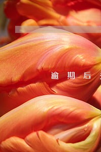 逾期后多久可以调额度 逾期后多久可以调额度