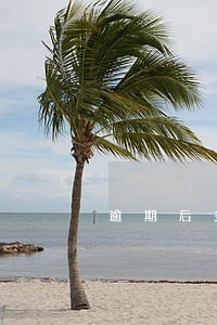 逾期后多久可以贷款 逾期后多久可以贷款