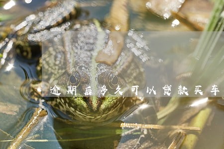 逾期后多久可以贷款买车 逾期后多久可以贷款买车