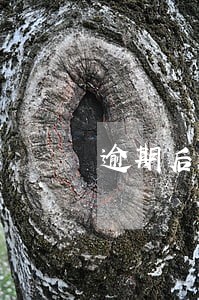 逾期后多久开始执行 逾期后多久开始执行