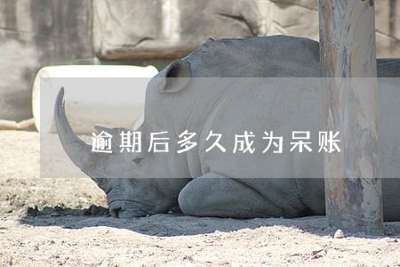 逾期后多久成为呆账 逾期后多久成为呆账