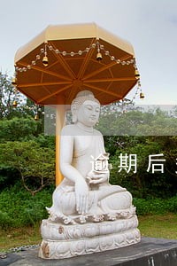 逾期后多久才会打电话 逾期后多久才会打电话