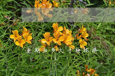 逾期后多久才能按揭 逾期后多久才能按揭