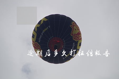 逾期后多久打征信报告 逾期后多久打征信报告