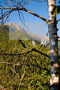 逾期后多久有记录