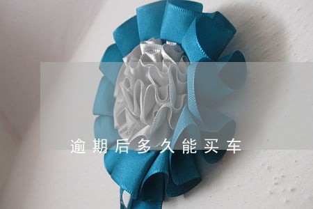 逾期后多久能买车 逾期后多久能买车