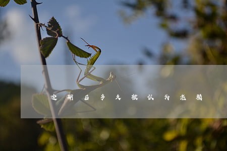 逾期后多久被认为老赖 逾期后多久被认为老赖