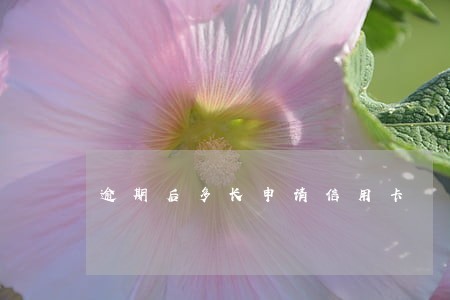 逾期后多长申请信用卡