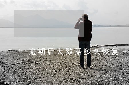 逾期后大数据多久恢复 逾期后大数据多久恢复