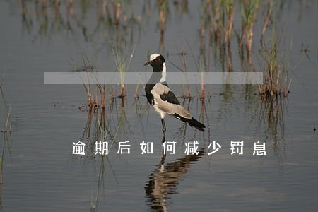 逾期后如何减少罚息 逾期后如何减少罚息