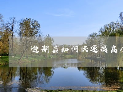 逾期后如何快速提高个人芝麻分