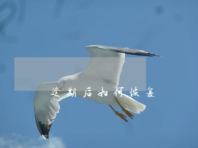 逾期后如何恢复