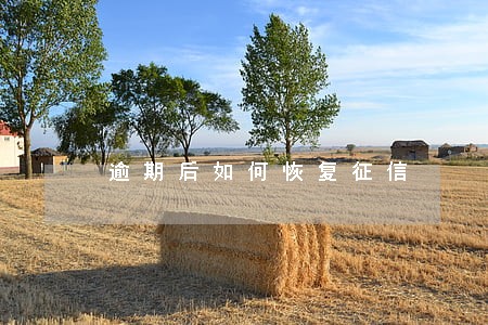 逾期后如何恢复征信 逾期后如何恢复征信