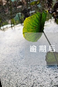 逾期后如何查信用卡本金 逾期后如何查信用卡本金