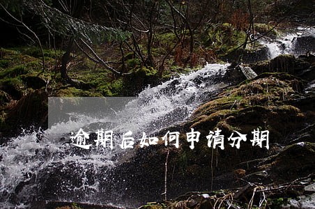 逾期后如何申请分期