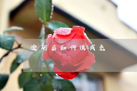 逾期后如何谈减免 逾期后如何谈减免