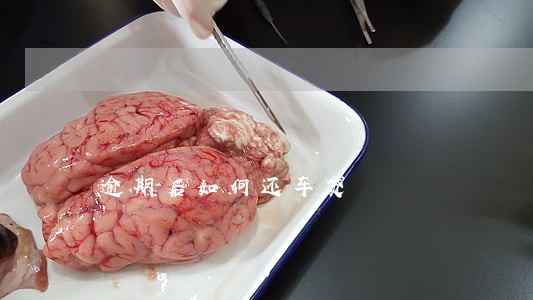 逾期后如何还车贷 逾期后如何还车贷