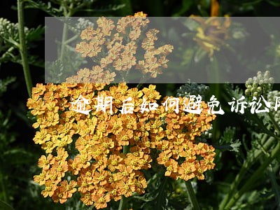 逾期后如何避免诉讼风险 逾期后如何避免诉讼风险
