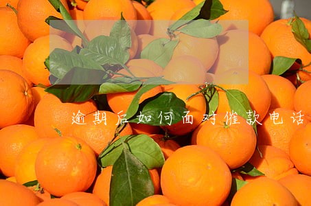 逾期后如何面对催款电话 逾期后如何面对催款电话