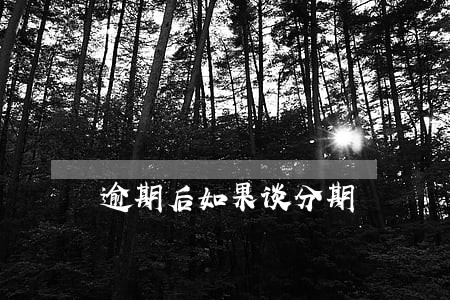 逾期后如果谈分期