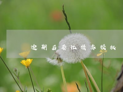 逾期后委托债务授权
