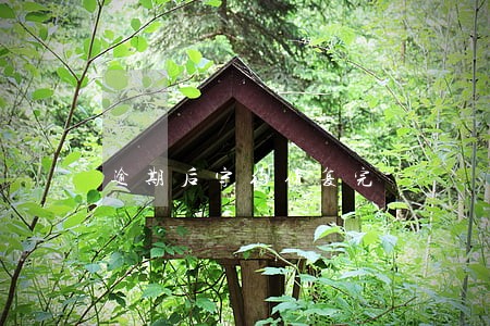 逾期后守约修复完 逾期后守约修复完