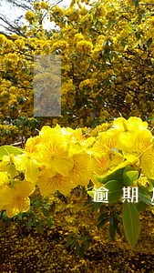 逾期后守约多久才能恢复 逾期后守约多久才能恢复