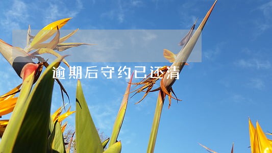 逾期后守约已还清 逾期后守约已还清