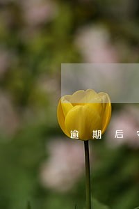 逾期后守约怎么消除负面 逾期后守约怎么消除负面