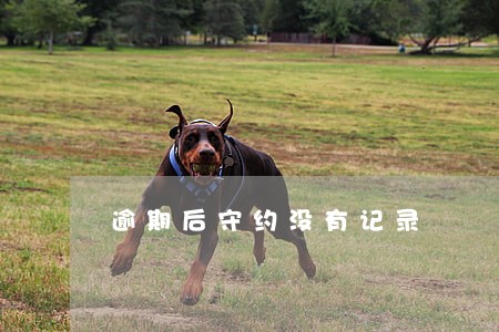 逾期后守约没有记录 逾期后守约没有记录
