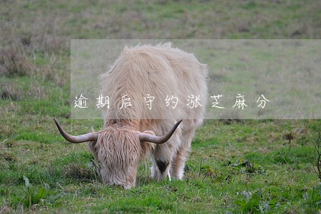 逾期后守约涨芝麻分 逾期后守约涨芝麻分