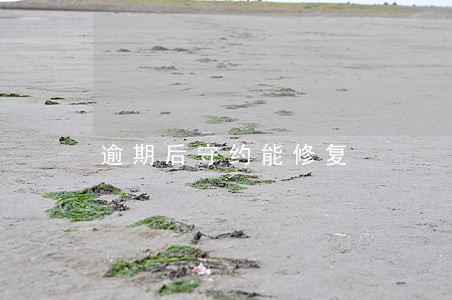 逾期后守约能修复 逾期后守约能修复